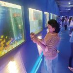 Blue economy holds promise for youth