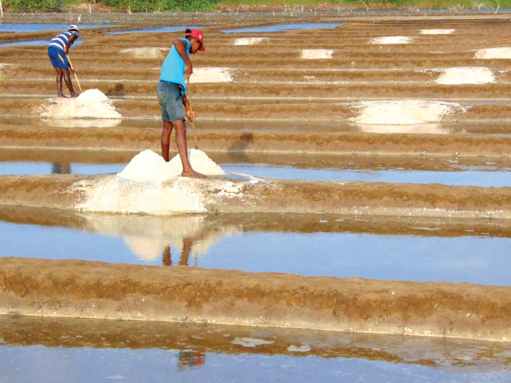 Aid brings hope, but salt farmers battle costs, competition, neglect