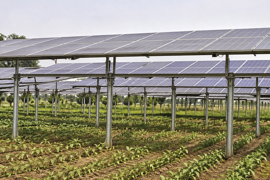 Rs 1.51 crore agri-voltaic plant at Ella in the offing